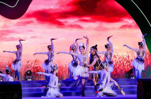 九江夜空璀璨 大型文艺演出燃爆城市热情